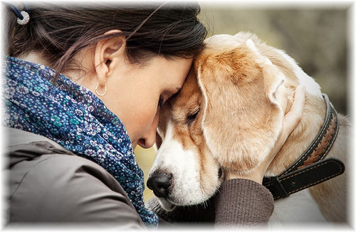 Private Cremation for VCA Hospital Clients